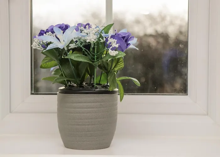 Appartement Woodside View